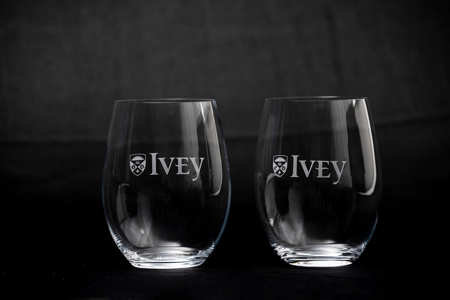 Ivey Riedel Stemless Wine Set (2)