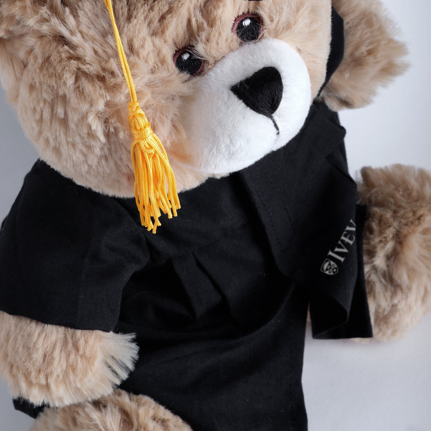 Ivey Grad Bear