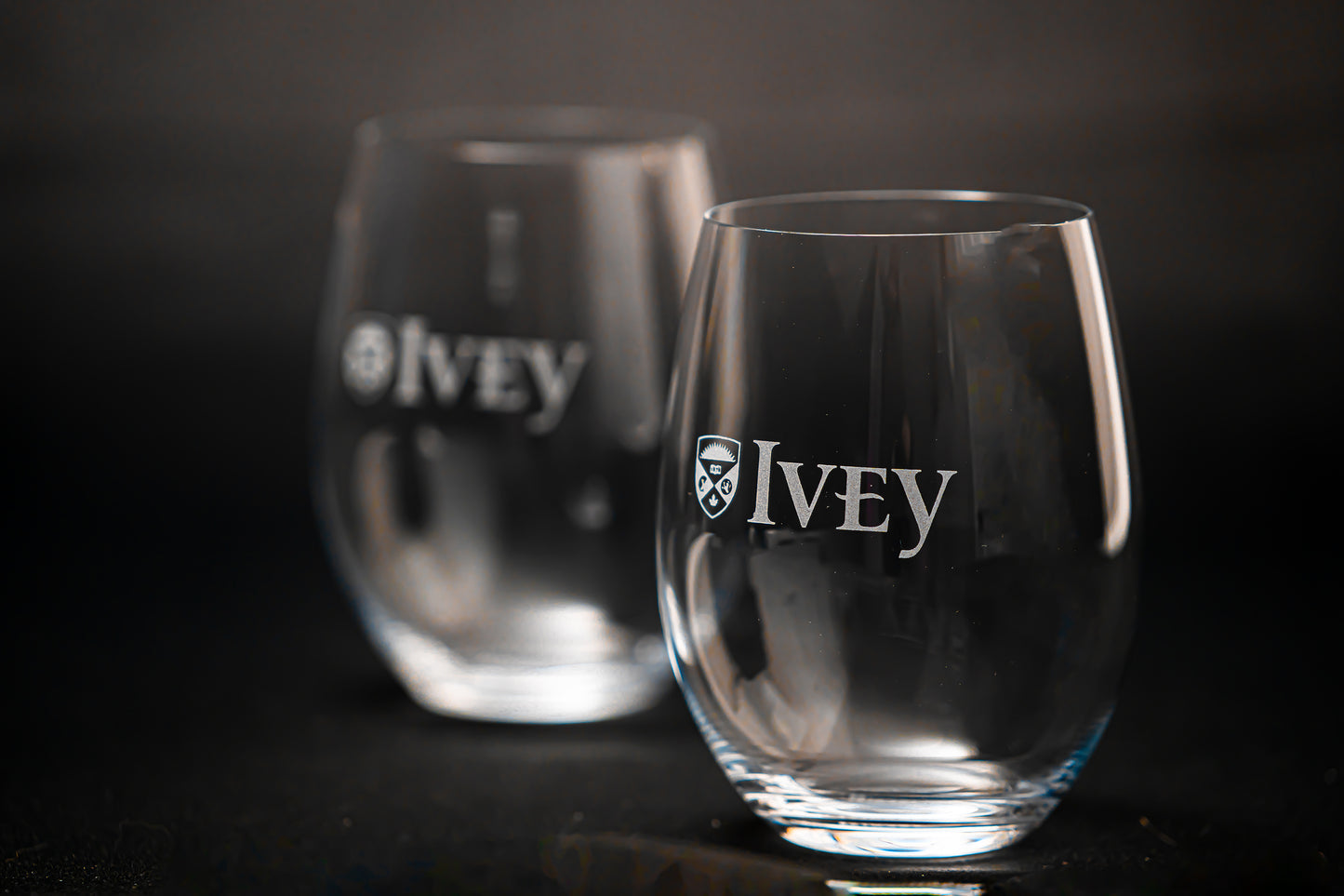 Ivey Riedel Stemless Wine Set (2)